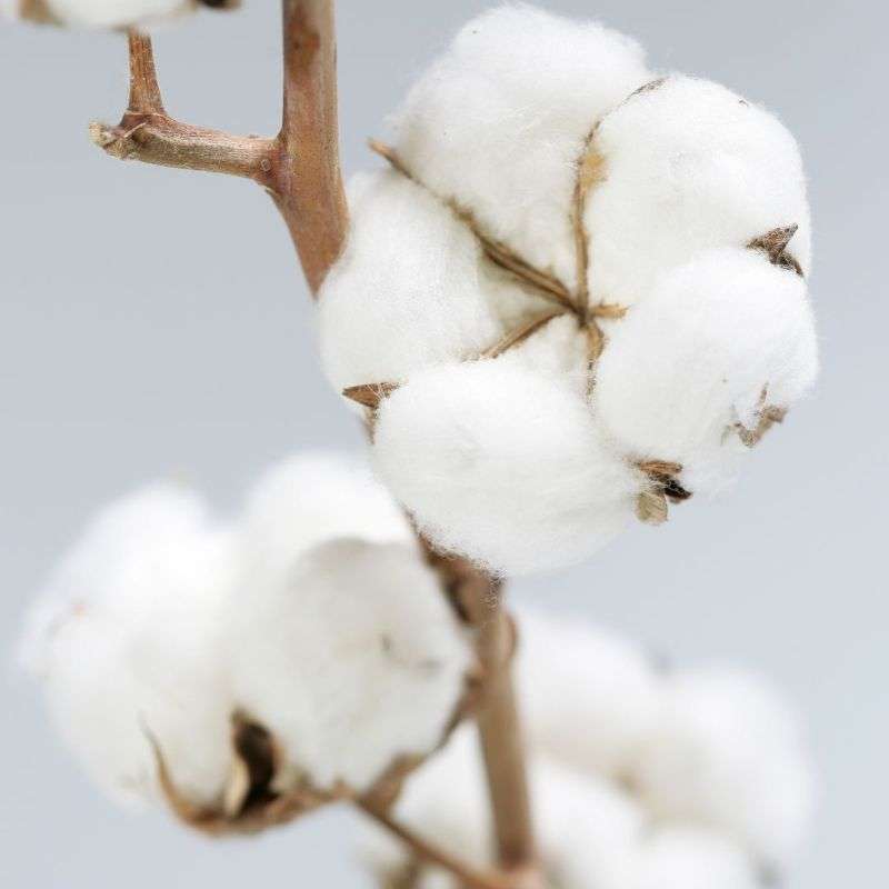 Clean Cotton Room & Linen Mist - Finca Gran Cerros