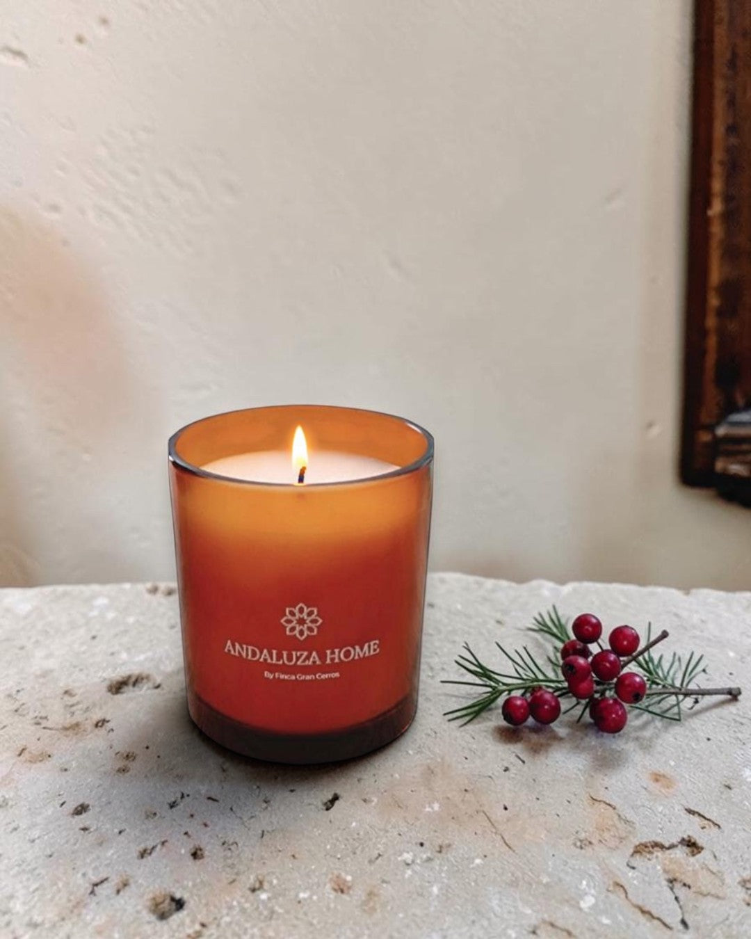 Winter Berries 220g candle - Andaluza Home