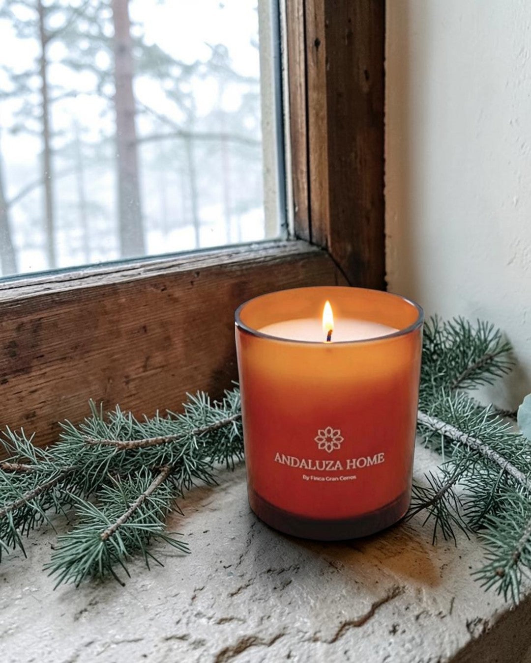 Winter Woodland 220g candle - Andaluza Home