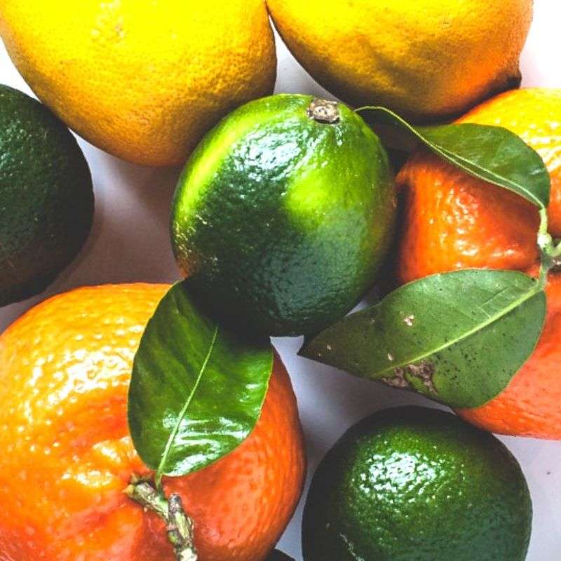 Lime, Basil & Mandarin Body Wash - Finca Gran Cerros