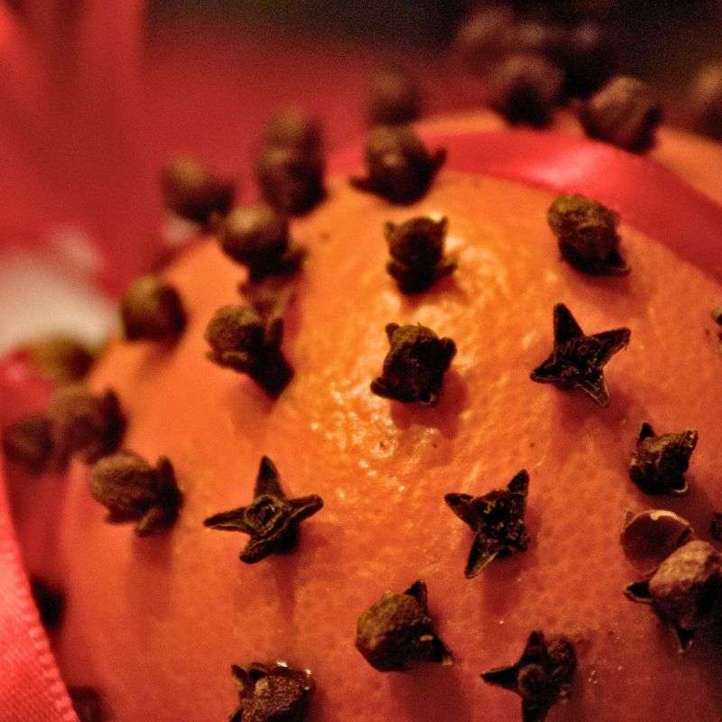 Spiced Orange Candle - Finca Gran Cerros