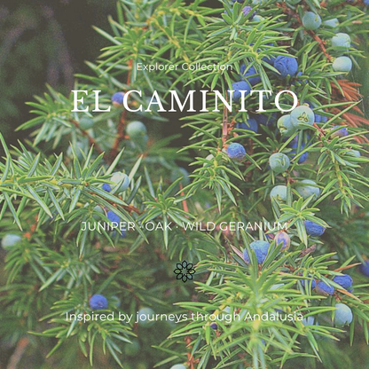 El Caminito Reed Diffuser