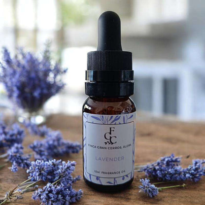 Lavender Fragrance Oil - Finca Gran Cerros