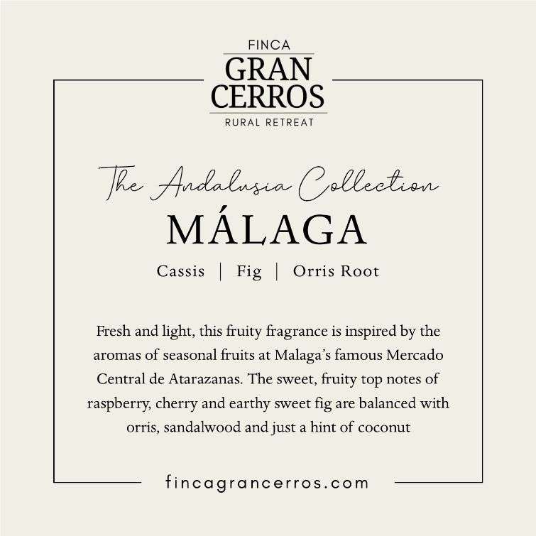 Malaga Liquid Hand Soap Refill - Andaluza Home