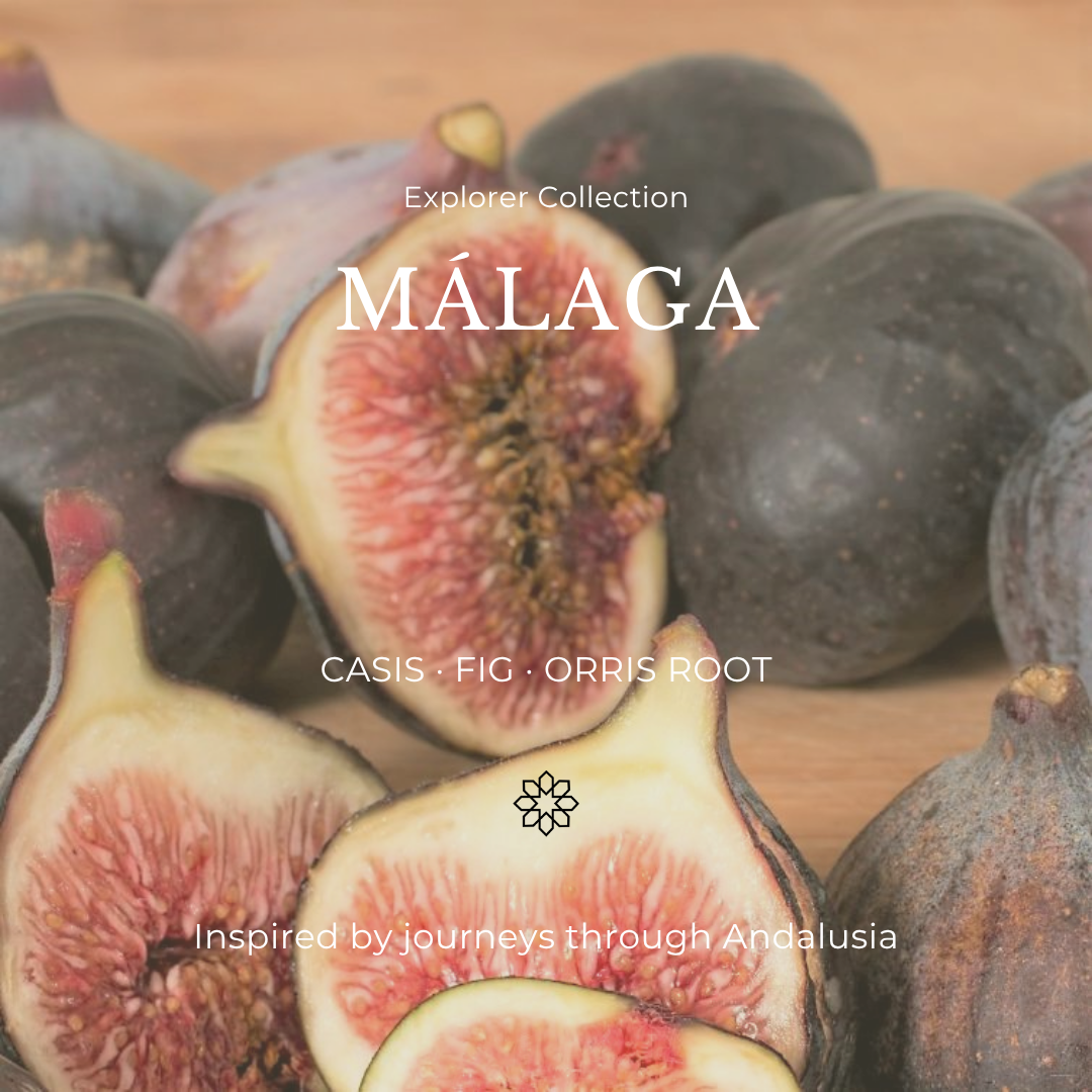 Málaga Fragrance Oil