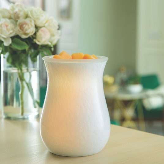 Electric Wax Warmer - ACCESSORY
