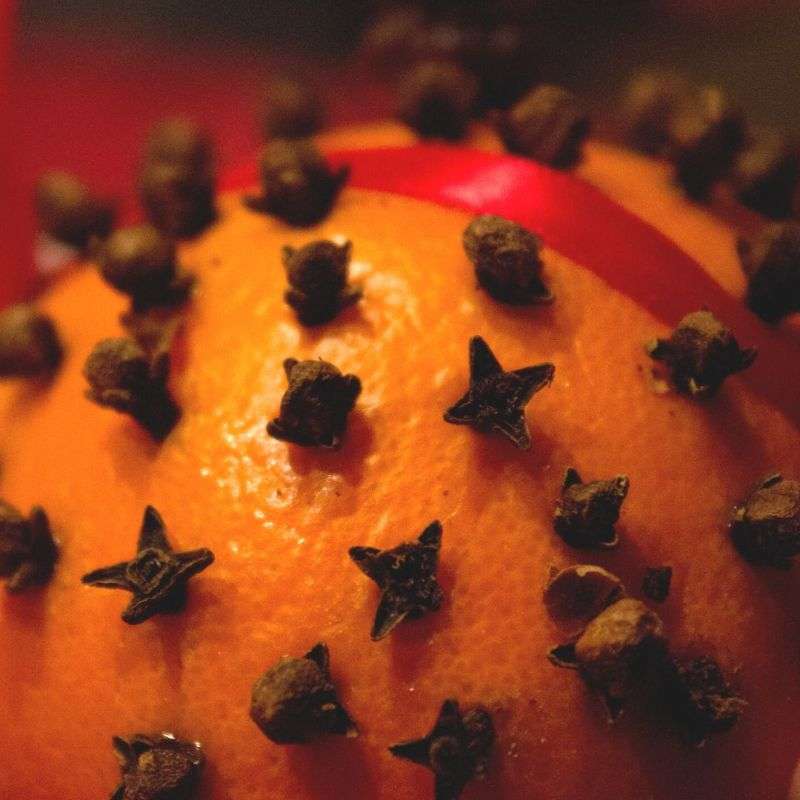 Spiced Orange Fragrance Oil - Finca Gran Cerros