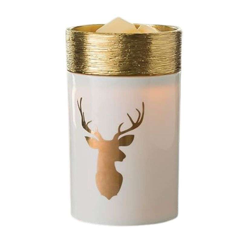 Electric Wax Warmer - ACCESSORY